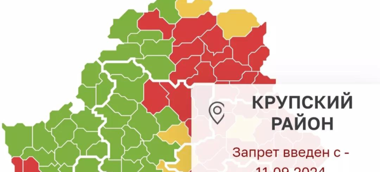 На территории Крупского лесхоза продолжает действовать запрет на посещение лесов