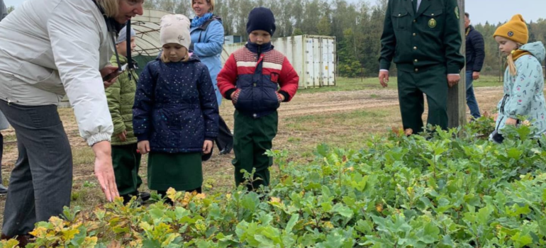 Для юных лесоводов дошкольного лесничества «Лесовичок» была организована экскурсия по лесхозу и в теплицы, где растут сеянцы сосен, елей, берез и дуба. А также посадочный материал декоративных растений.