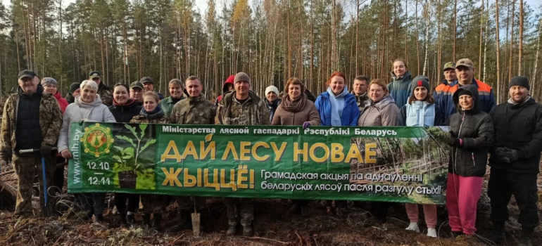 «Дай лесу новае жыцце»